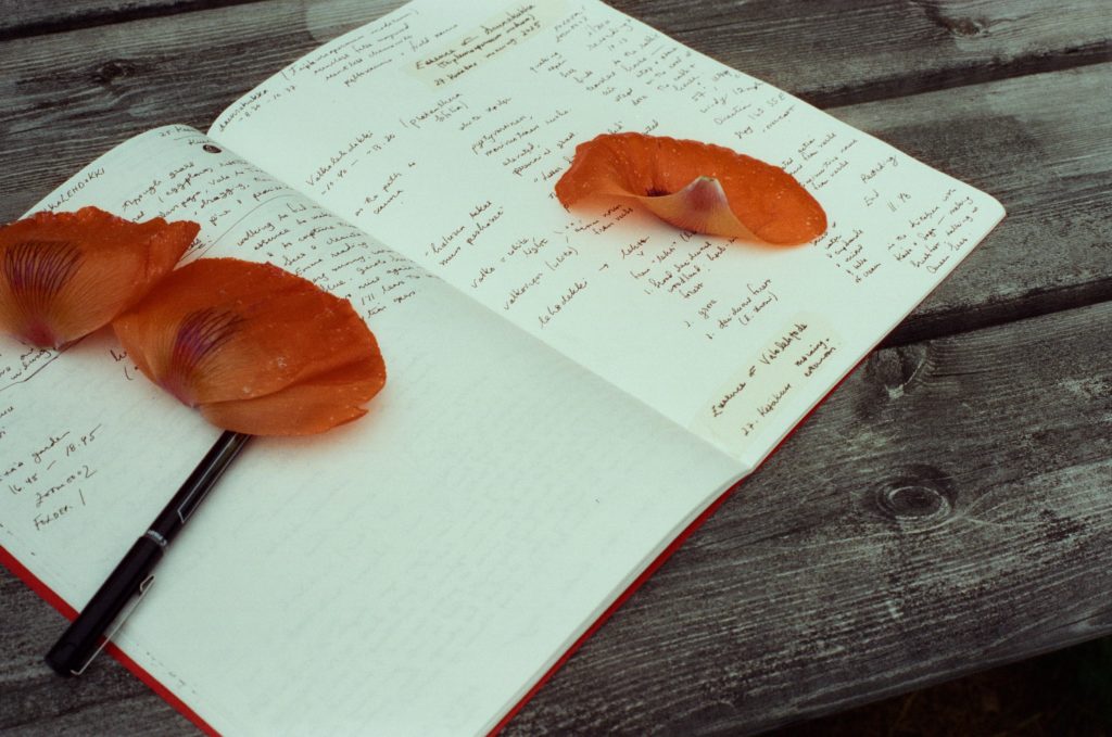 notebook laid flat open on wooden table, red flower petals and hand written text. photo credit Mindy Stock