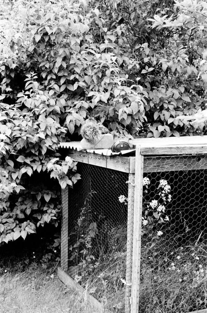 black and white photo of a chicken cage and some bushes. photo credit Chanelle Allesandre