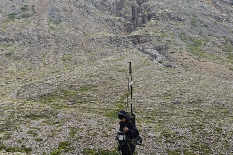 person standing in a misty mountain scenery